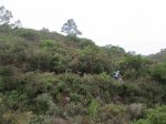 IMG_1154.JPG