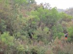 IMG_1155.JPG