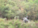 IMG_1156.JPG