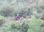 IMG_1160.JPG
