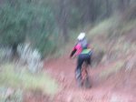 IMG_1174.JPG