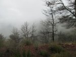 IMG_1198.JPG