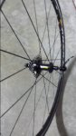 20151031_113947.jpg