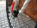 IMG-20151029-WA0008.jpg