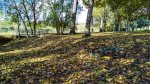 20151103_141548_HDR.jpg