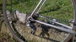 WP_20151101_014.jpg
