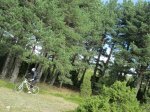 IMG_1261.JPG