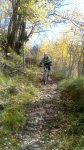 DSC_3697.jpg