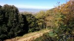 IMG_20151107_115746.jpg