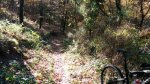IMG_20151107_140735.jpg