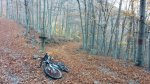 IMG_20151107_145917.jpg