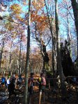 IMG_20151107_151107.jpg