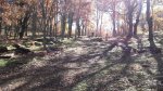 20151107_125441_resized_2.jpg