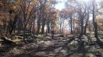 20151107_125505_resized_2.jpg