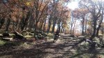20151107_125508_resized_2.jpg