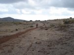Copia de DSC01310.JPG