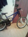 Bici oriol.jpg