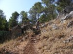 DSCN0645.jpg