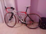 Bianchi [640x480].jpg