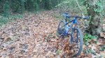 20151109_163052.jpg