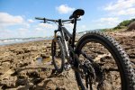 SantaCruzBronson2-02.jpg