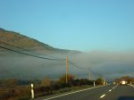 DSC08480.JPG
