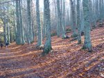 DSC08492.JPG