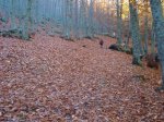 DSC08497.JPG