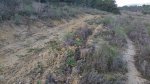 20151108_092856.jpg