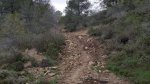 20151108_093542.jpg