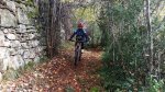 20151104_114201.jpg
