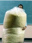 200px-Palomitas.jpg