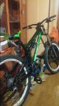 IMAG0127.jpg