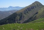 Pez-Pyrenees-2016-26.jpg