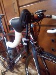 WP_004293.jpg