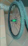 20151109_180449.jpg