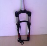 image.jpeg