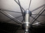 IMG-20151114-WA0008.jpg