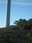 IMG_1329.JPG