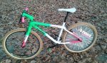 20151018_182512.jpg