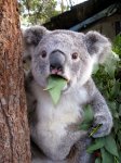 animales-sorprendidos-por-algo-1.jpg