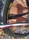 IMG-20151117-WA0000.jpg