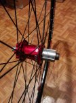 IMG_20151118_160800 (Copiar).jpg