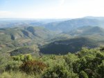 IMG_1375.JPG