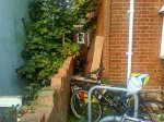CS1RaGUWIAEmgSQ.jpg large.jpg