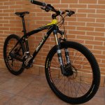 scott%20scale%20%281%29_recortada_reducida.jpg