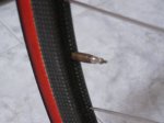 DSCN1219.JPG