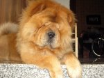 FOTOS1 004.jpg