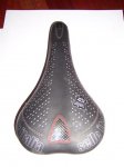 peces bici 016 (Small).jpg