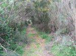 IMG_0010.JPG